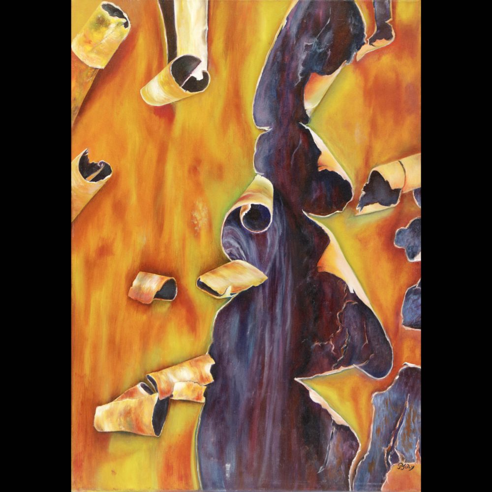 Pascale JULY - Manzanita - 50x70cm