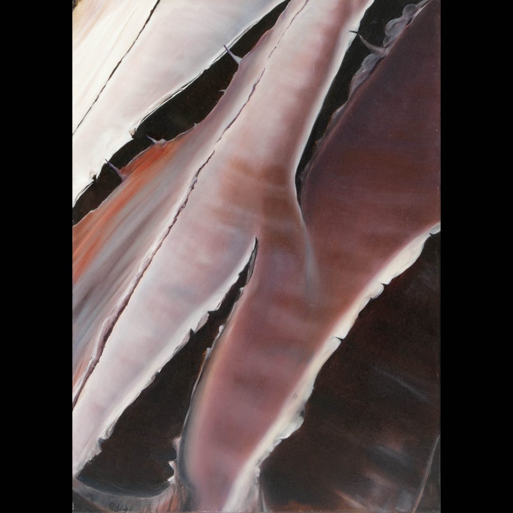 Pascale JULY - arbre carquois - 50x70cm